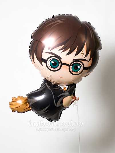 Figurina Harry Potter