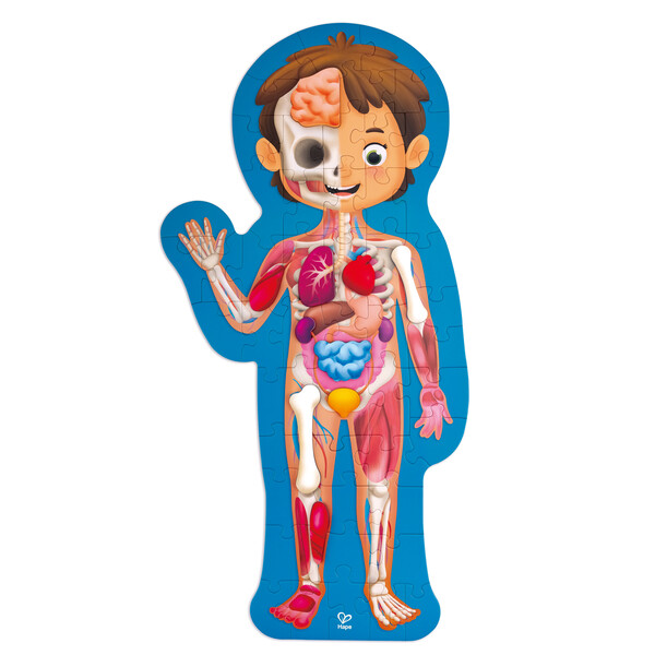 Puzzle „Cum funcționează corpul uman” – Joc educațional cu 50 de piese pentru descoperirea anatomiei