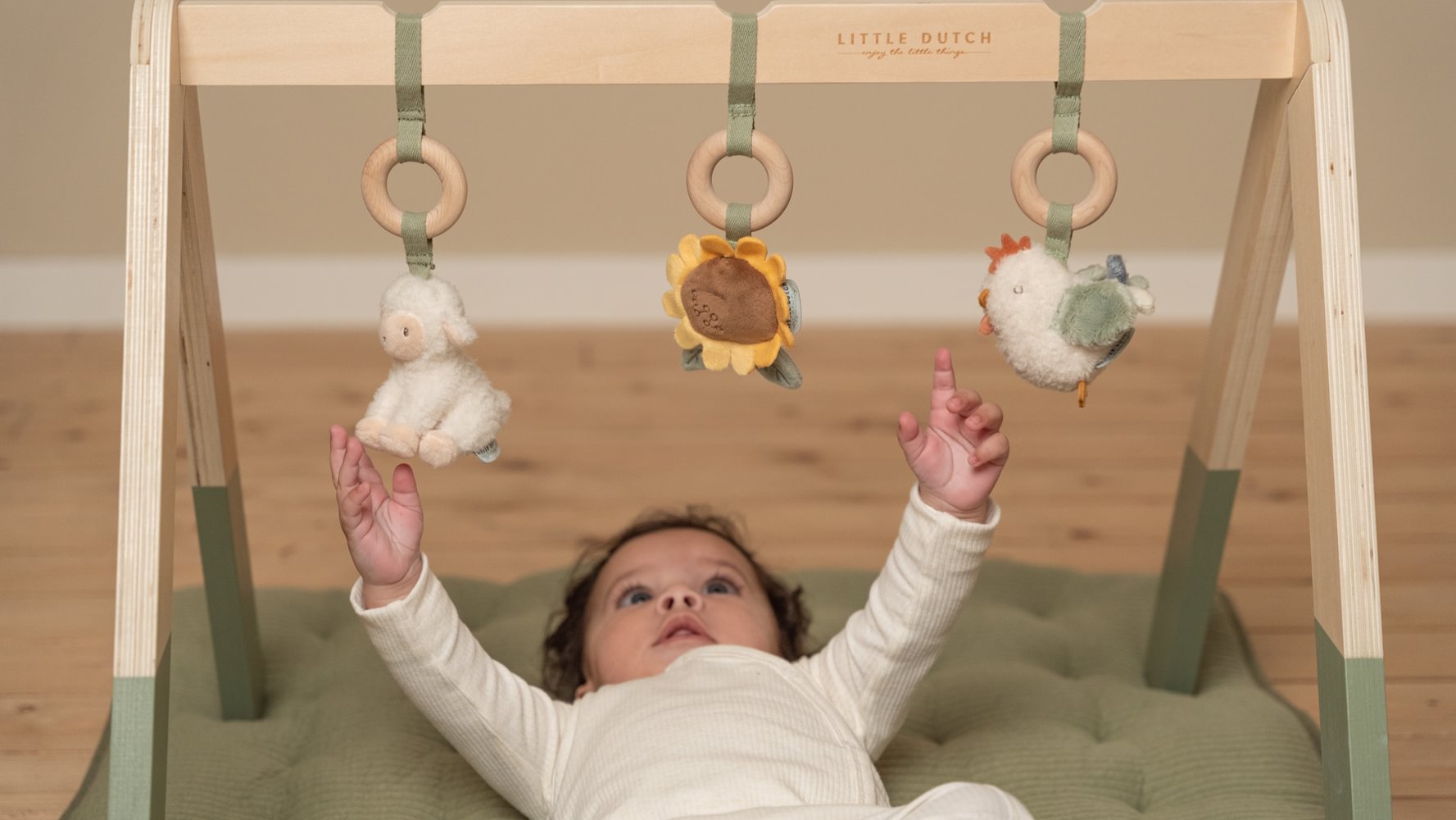 Centru de activitati pentru bebelusi - Baby Gym - colectia Little Farm - Little Dutch