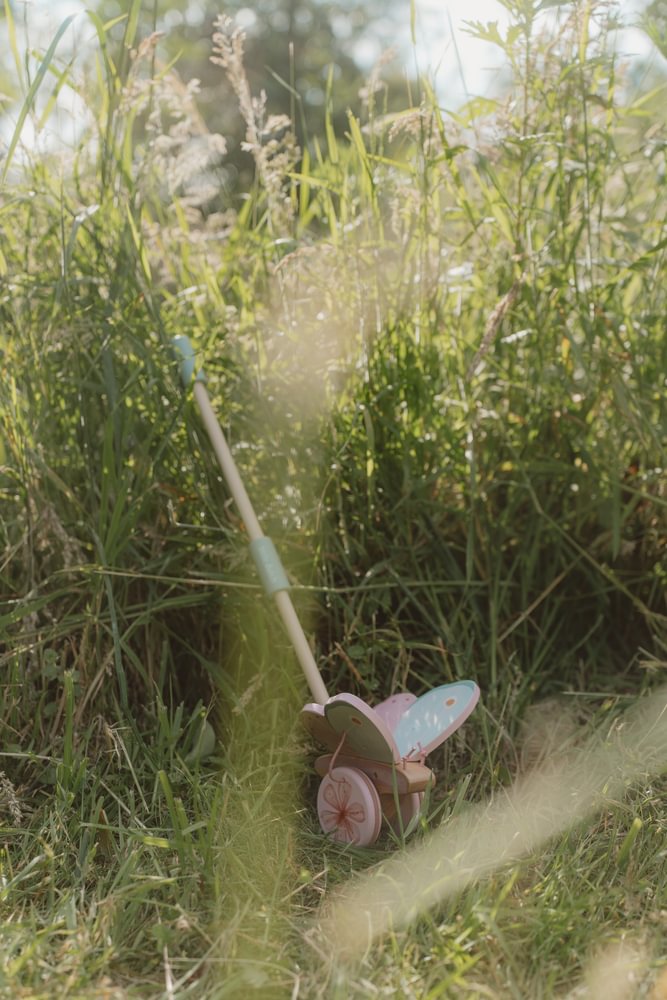 Jucarie de impins din lemn FSC - Fairy Garden - Little Dutch 