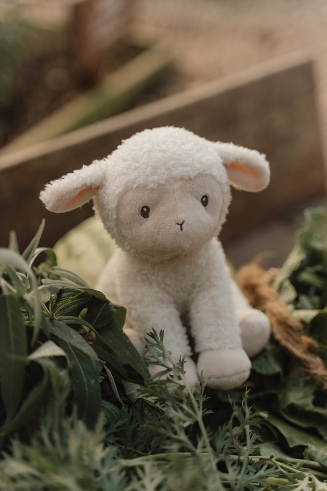 Jucarie din plus - Oita - 17 cm - Colectia Little Farm - Little Dutch 