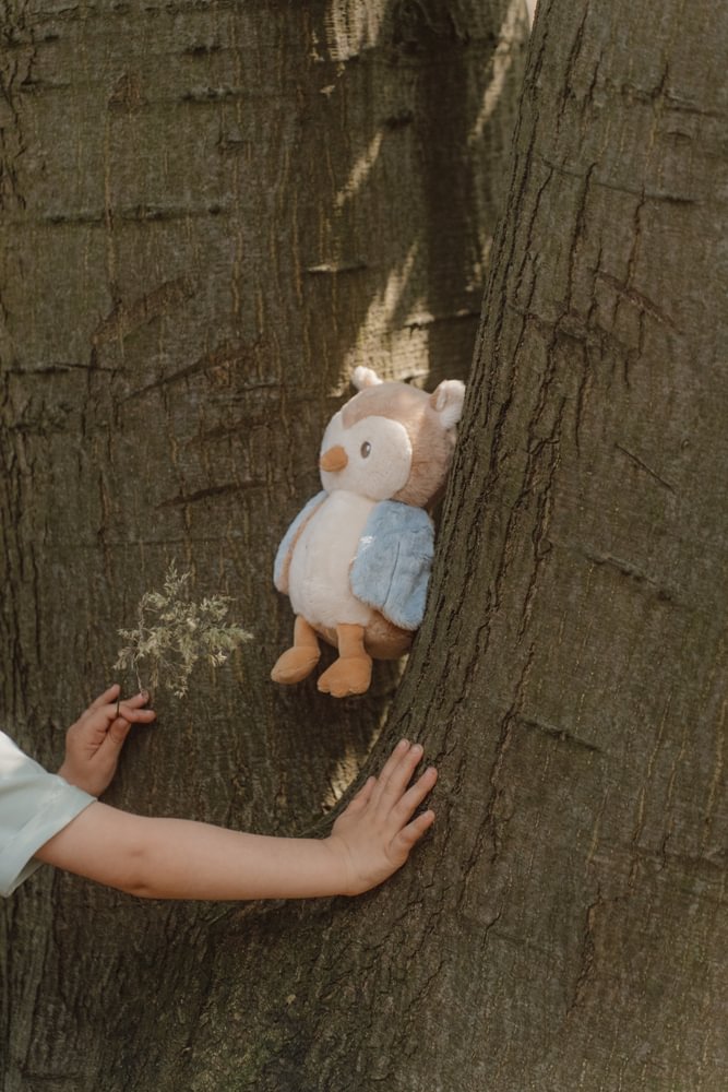 Jucarie din plus - Bufnita - Forest Friends - Little Dutch 