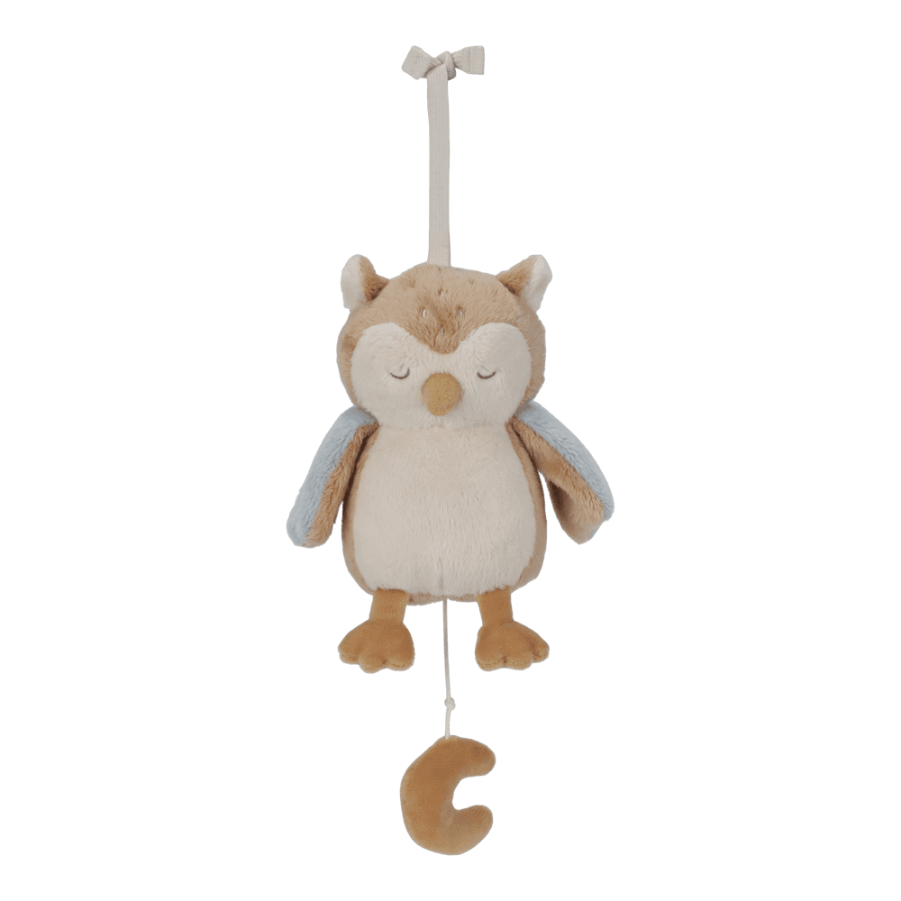 Jucarie muzicala - Bufnita - Forest Friends - Little Dutch 
