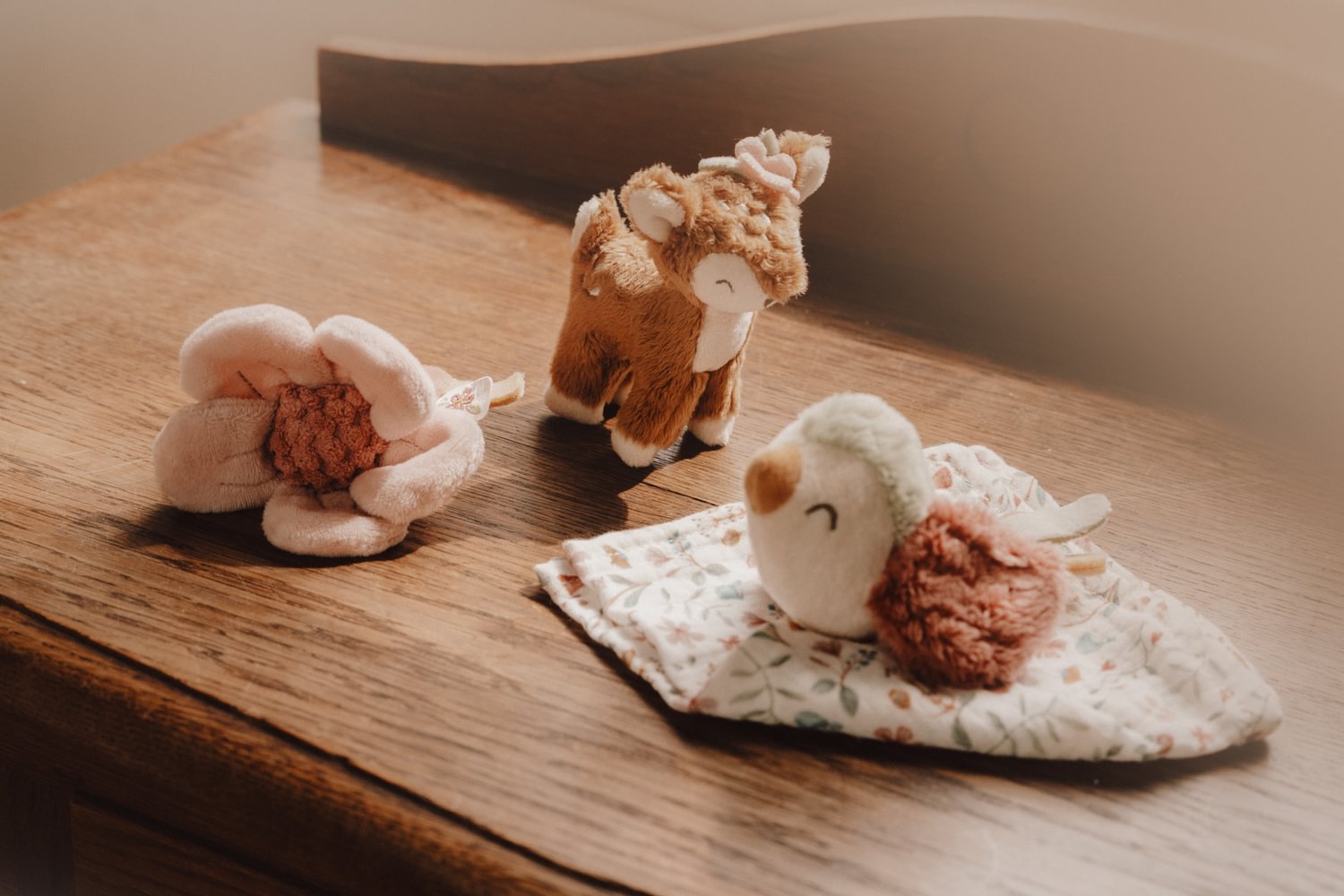 Cutie cadou pentru bebelusi - Fairy Garden - Little Dutch 