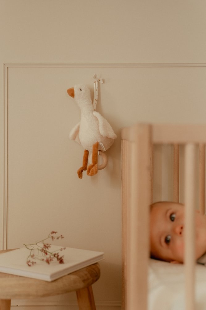 Jucarie muzicala - Little Goose - 2025 - Little Dutch