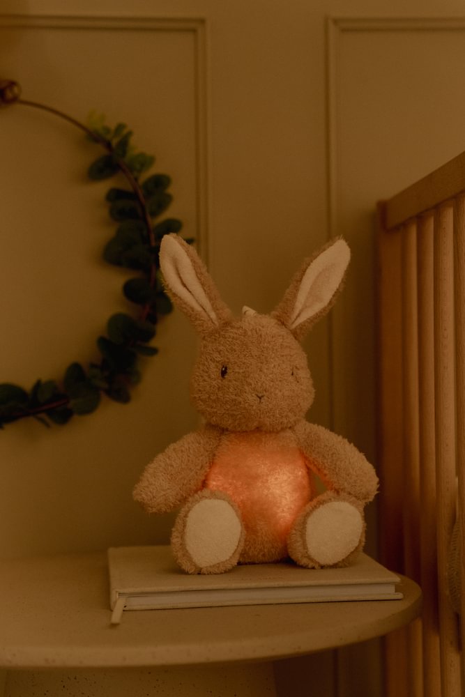 Jucarie din plus cu sunete si lumina de veche - Baby Bunny - Little Dutch