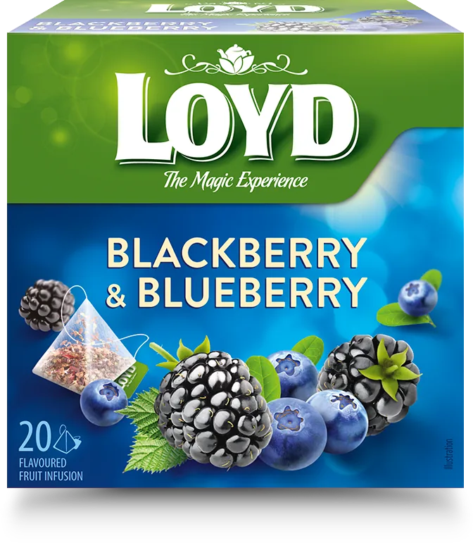 LOYD Blackberry & Blueberry, 20 pac.