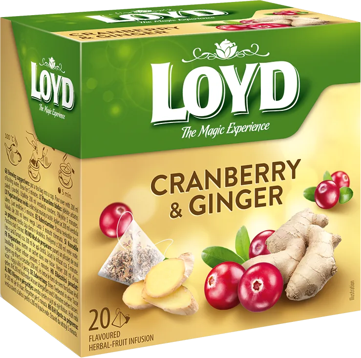 LOYD Cranberry & Ginger, 20 pac.
