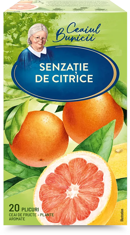 GRANDMA'S TEA Citrus, 20 pac
