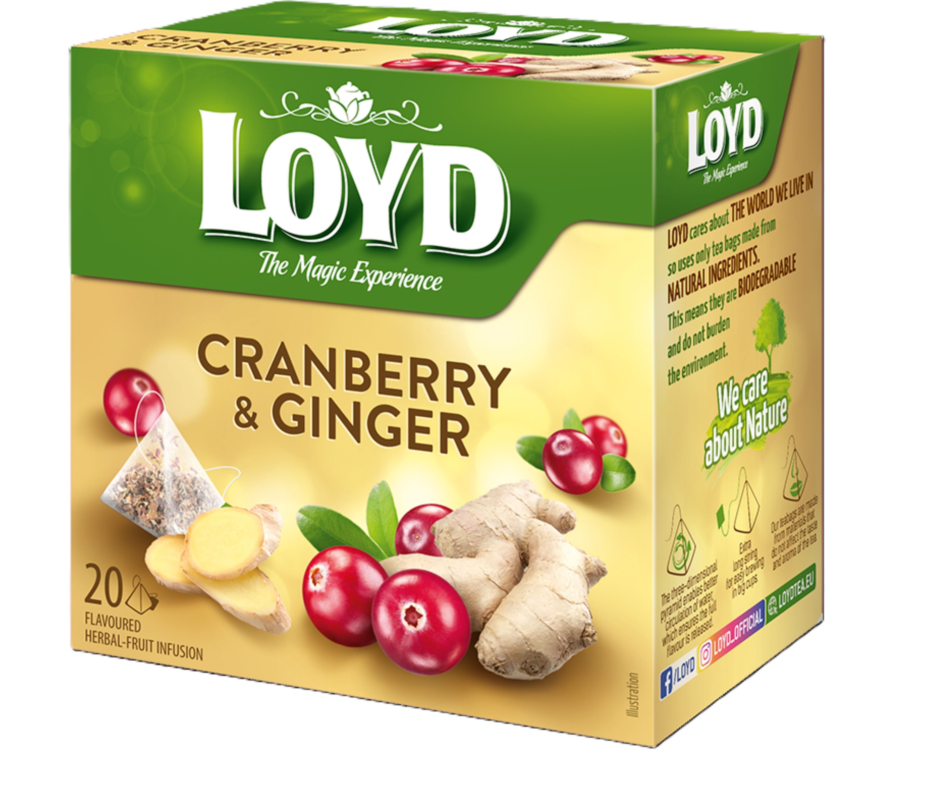 LOYD Cranberry & Ginger, 20 pac.