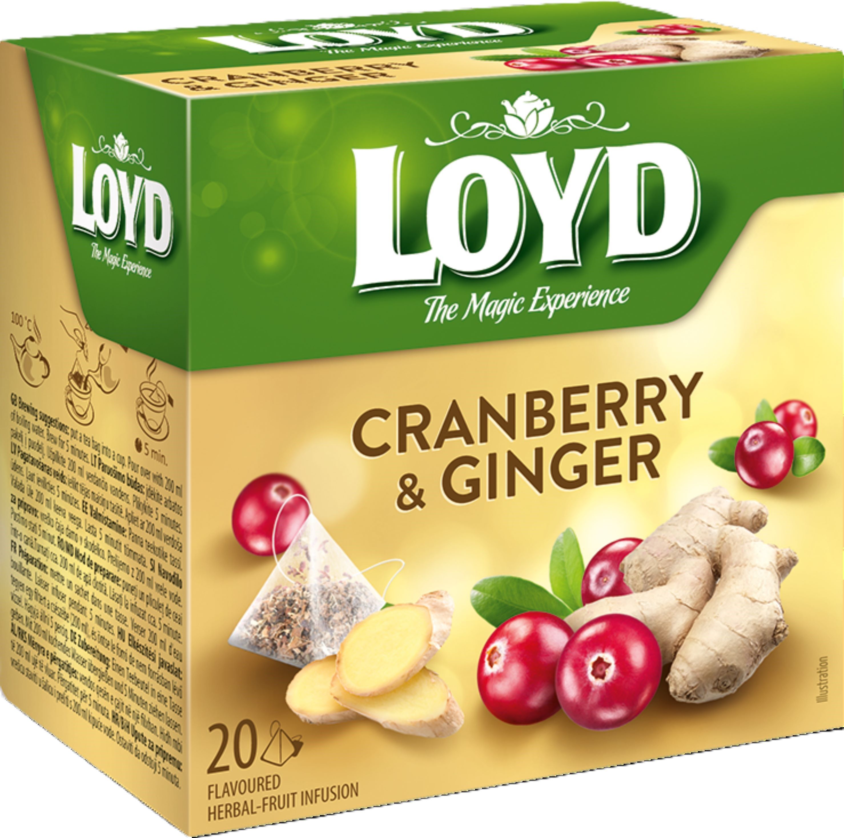 LOYD Cranberry & Ginger, 20 pac.