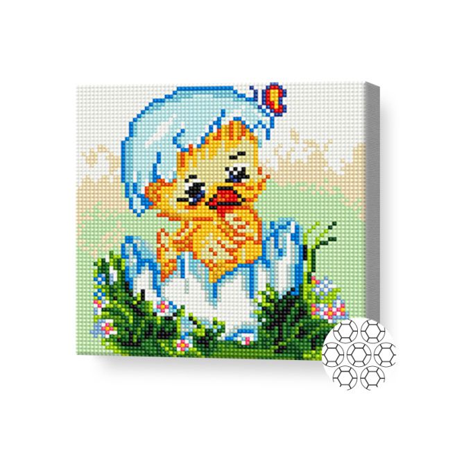 20x20