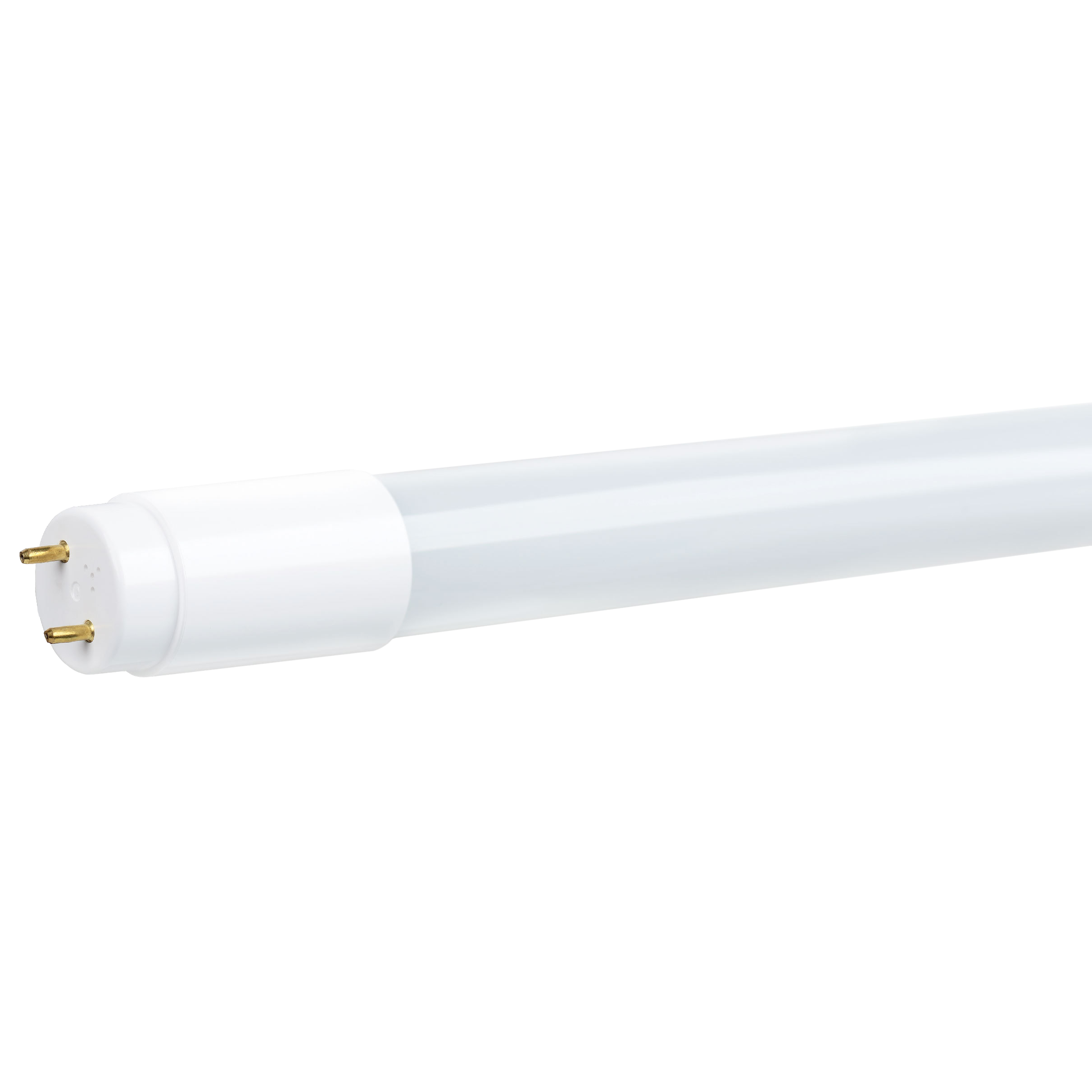 Tub LED 16W 6500K 1600 Im T8 1,2m (93117356)