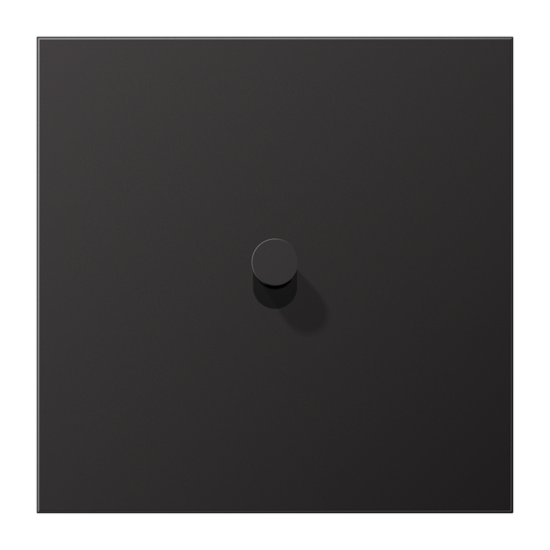 AL12-0-DK01 Placa centrala/tumbler, gri inchis mat