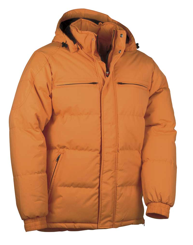 Scurta de iarna QUEBEC (01 orange)