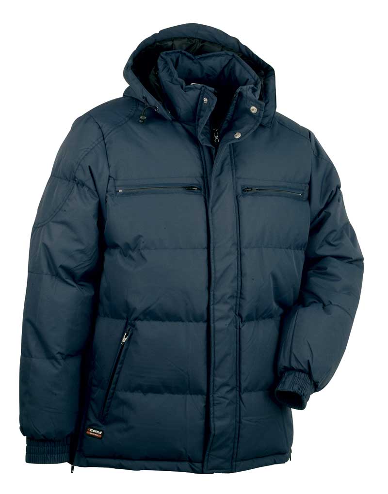 Scurta QUEBEC (02 navy)