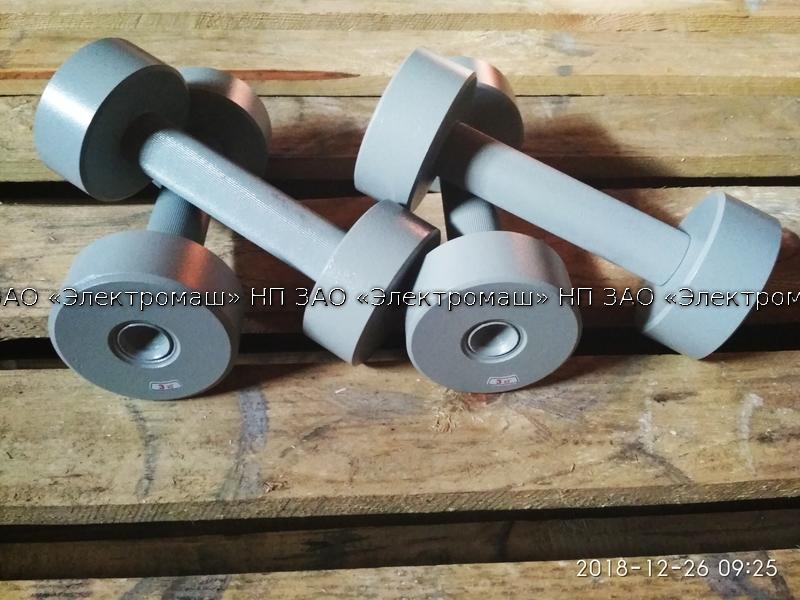 Gantere 6 kg (turnate)