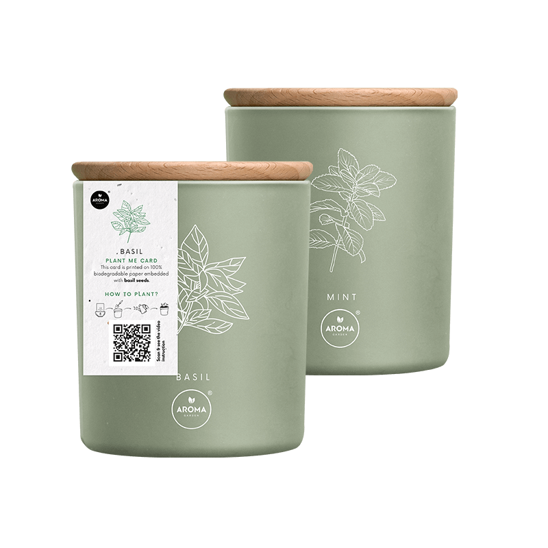 Aroma Home Lumanare cu Seminte si Aroma de Bazilic 150g