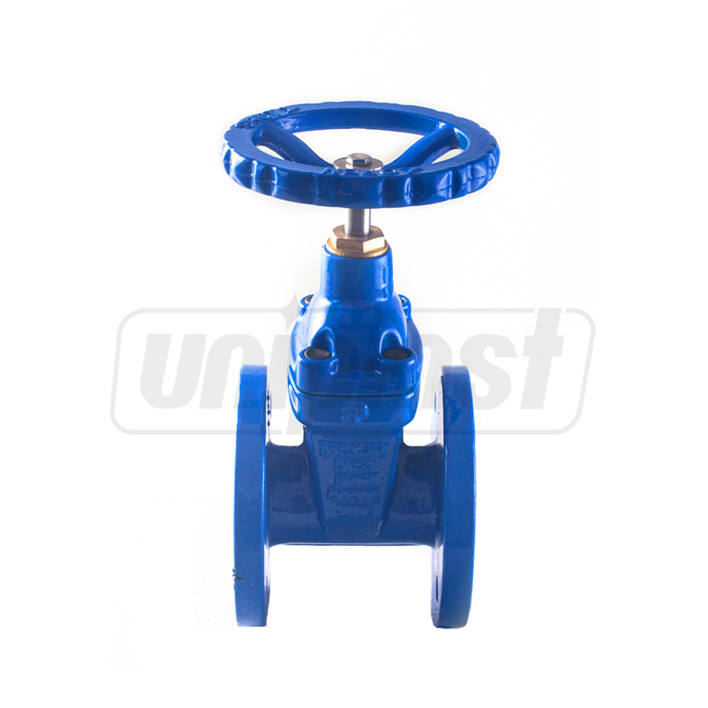 Vana fonta D. 65 PN16 pana cauciucata (L=165 mm) (4 gauri)  BLUCAST