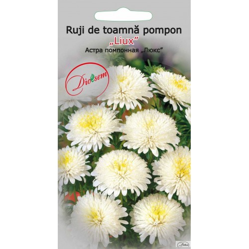 Seminte de Ruji de toamna pompon Lux 0.3 g (1209 30 000)  DS