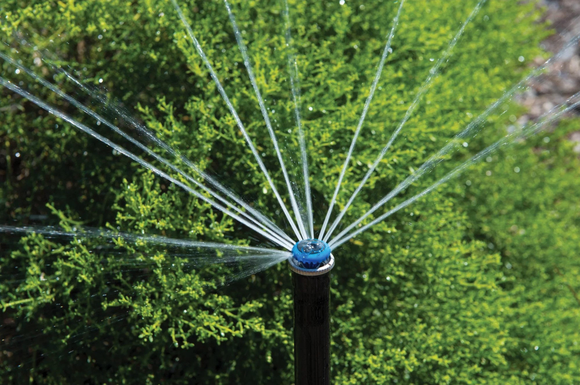 Duza Rotator MP3500-90-210  HUNTER