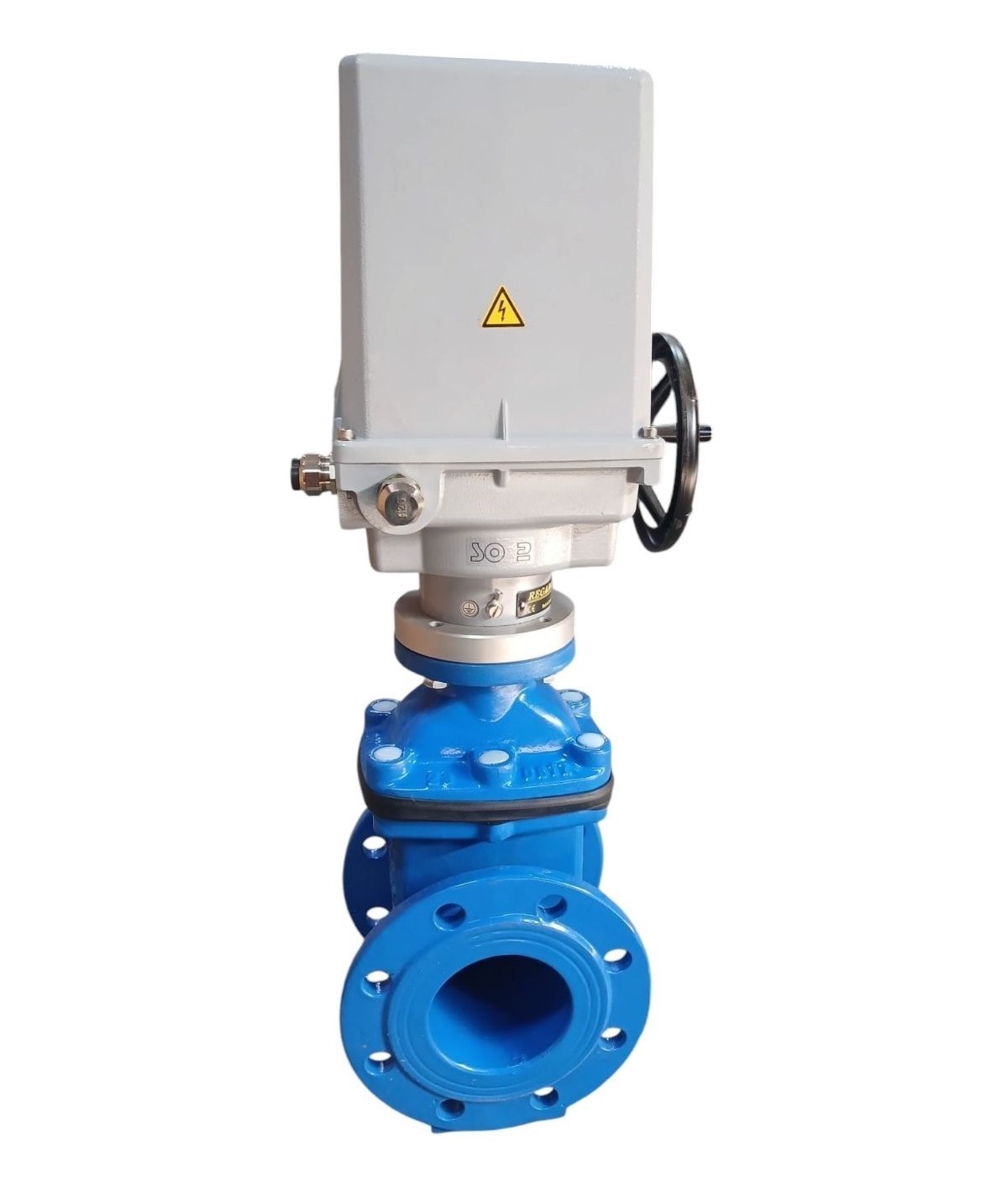 Vana fonta cu actionare electrica REGADA D.100 PN16 pana cauciucata F4 (L=190 mm) (8 gauri)  BLUCAST