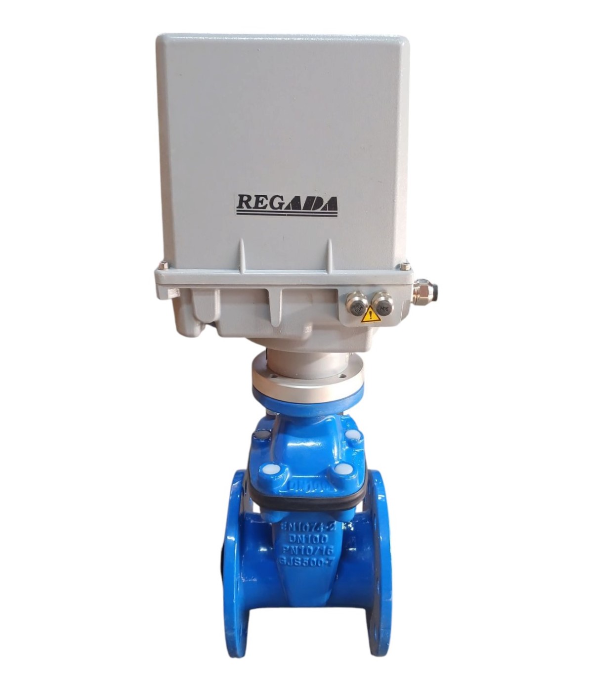 Vana fonta cu actionare electrica REGADA D.100 PN16 pana cauciucata F4 (L=190 mm) (8 gauri)  BLUCAST
