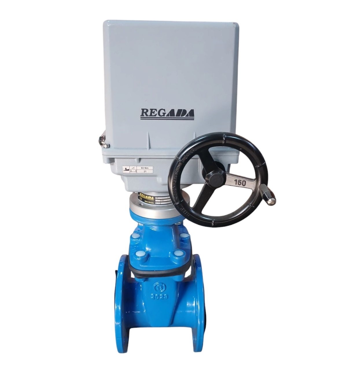 Vana fonta cu actionare electrica REGADA D.100 PN16 pana cauciucata F4 (L=190 mm) (8 gauri)  BLUCAST