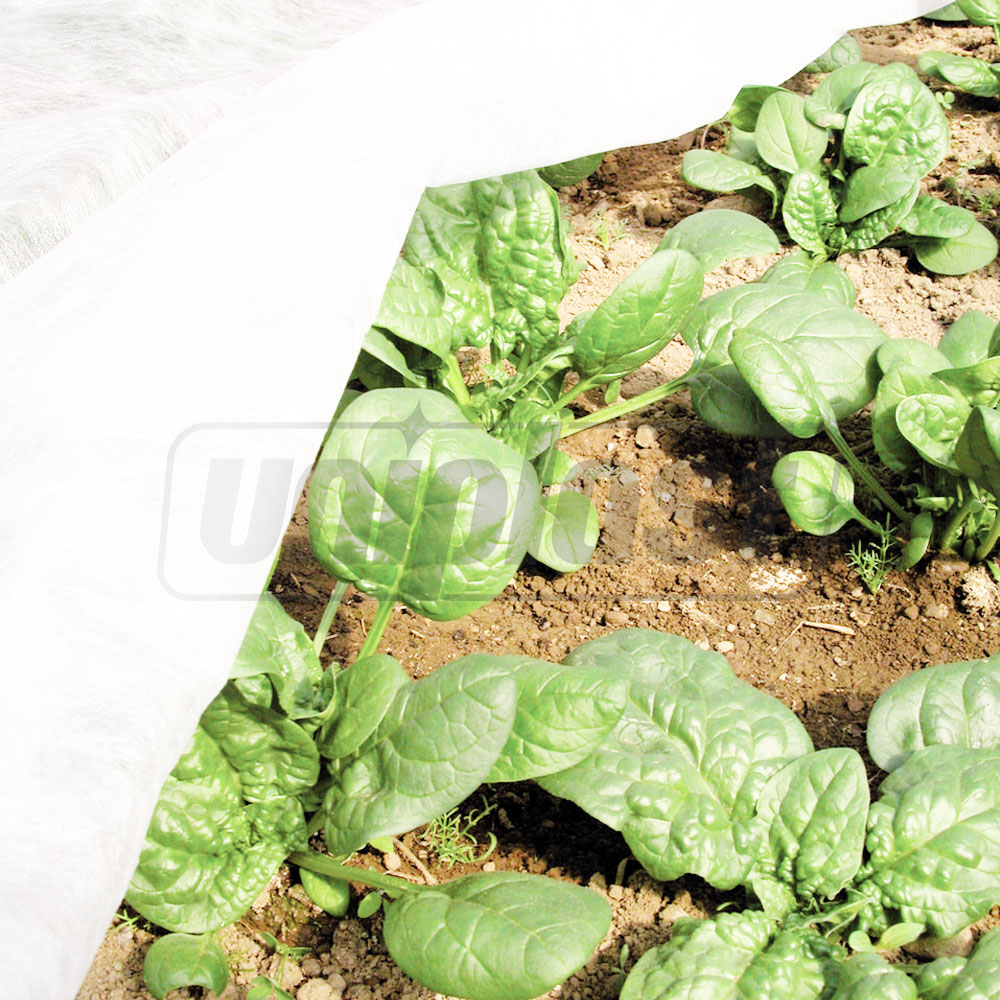 Folie microporoasa agril 23 g/m² (alb-transparent) (1.6 m x 10 m) 16 m²  AGREEN
