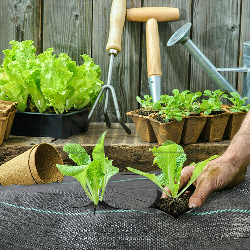 Agrotextil  85 g/m² (negru) (1.05 m х 5 m) 5.25 m² impotriva combaterii buruienilor  AGREEN