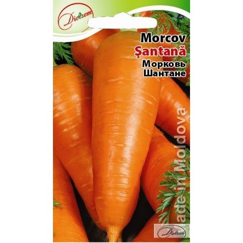Семена Морковь Шантане 2 г  DS