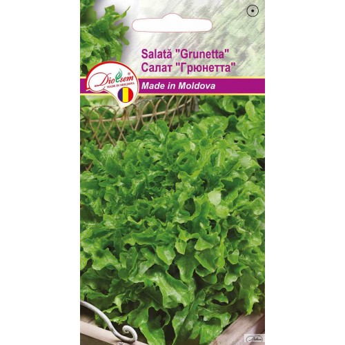 Seminte de Salata Grunetta 1 g (1209 99 990)  DS