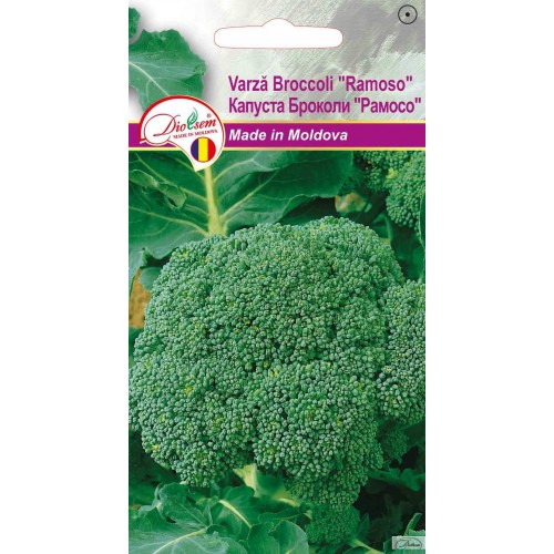 Seminte de Varza Broccoli Ramoso 0.5 g (1209 91 800)  DS