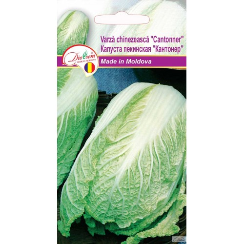 Seminte de Varza chinezeasca Cantonner 0.5 g (1209 91 800)  DS
