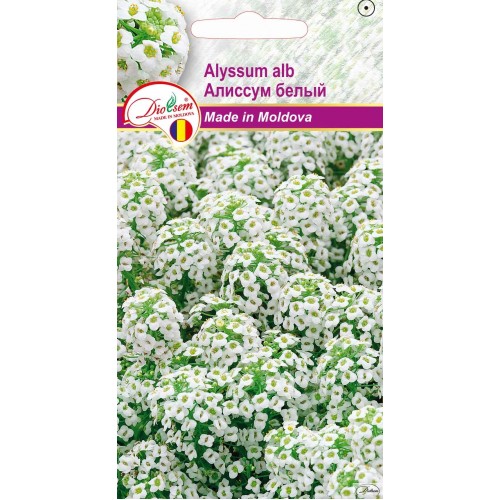 Seminte de Alyssum alb 0.2 g (1209 30 000)  DS