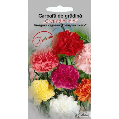 Seminte de Garoafa de gradina Grenadin mix 0.2 g (1209 30 000)  DS
