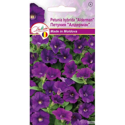 Seminte de Petunia Alderman 0.1 g (1209 30 000)  DS