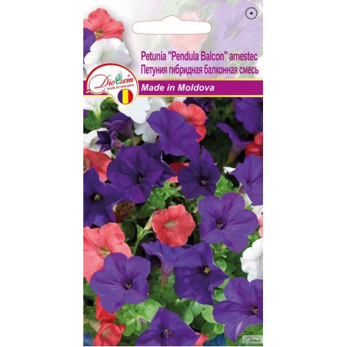 Seminte de Petunia Pendula Balcon amestec 0.1 g (1209 30 000)  DS