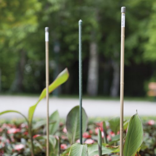 Suport pentru plante 11 x 1200 mm metal/plastic