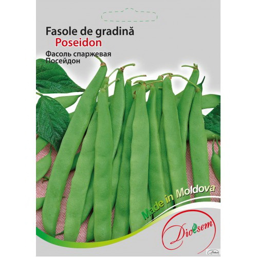 Seminte de Fasole de gradina verde Poseidon 20 g (0713 39 00)  DS