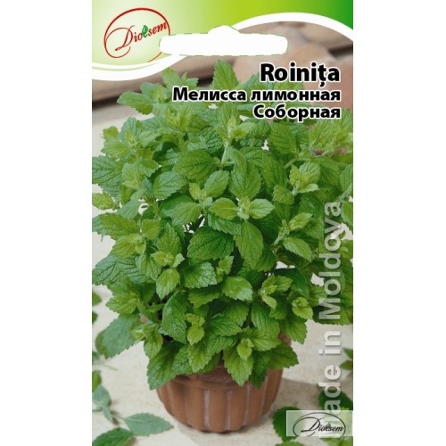 Seminte de Roinita 0.2 g (1209 99 990)  DS