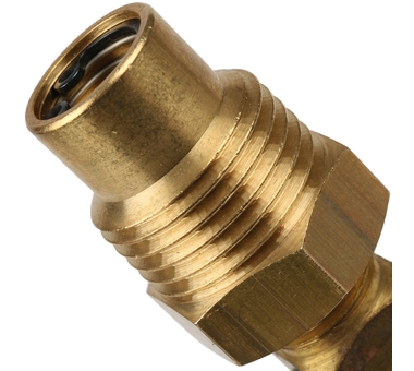 Termomanometru radial D. 1/2" 6 bar, 0-120º C, D. 80  ITAP