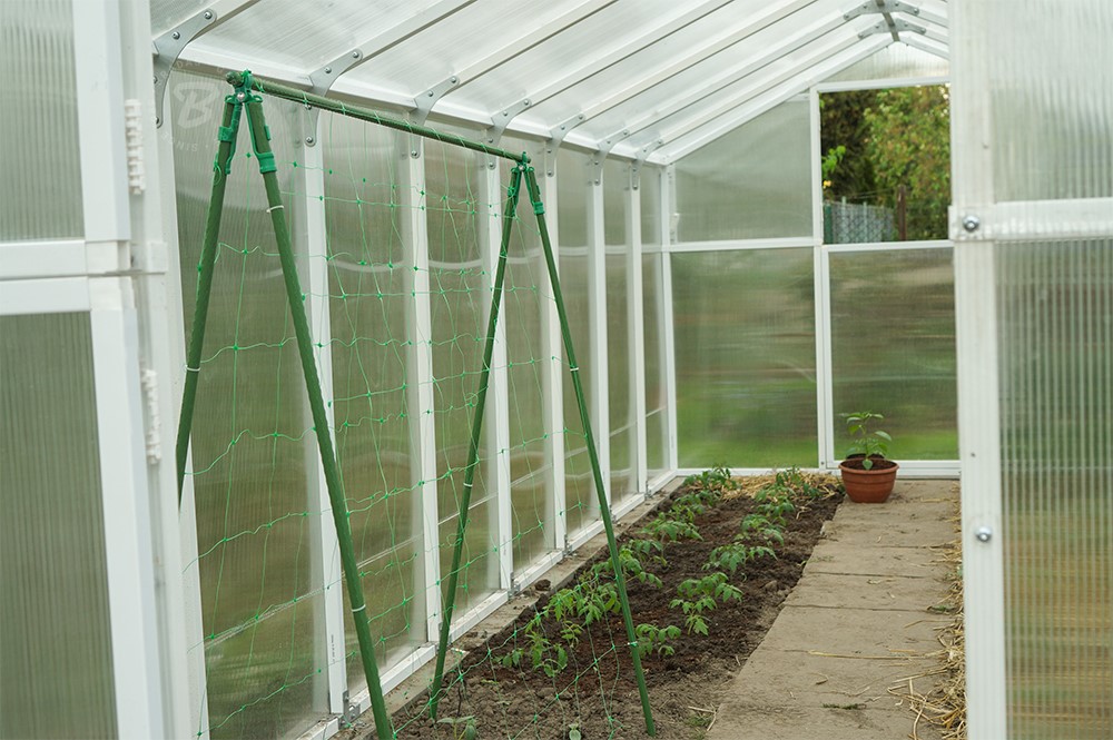 Suport plante de gradina 1.6 x 240 cm din otel plasticat (verde) TYP16240  BRADAS
