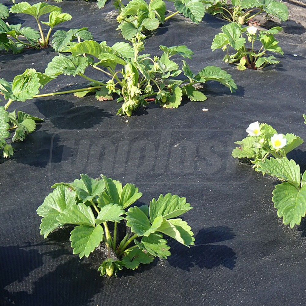 Folie agril (neperforata) 50 g/m² (negru) (3.2 m x 5 m) 16 m²  AGREEN
