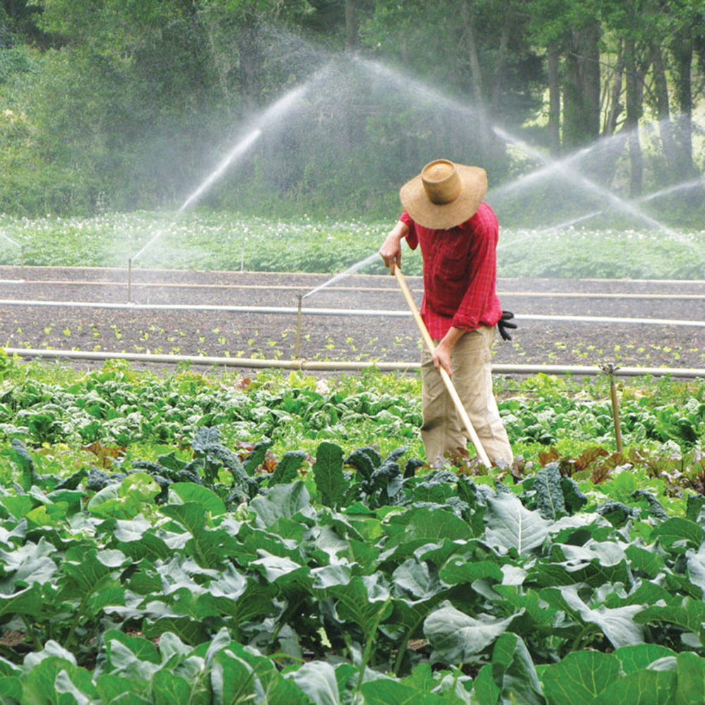 Aspersor sprinkler A/2 D. 1" FE (360º) 10x18 m, 1.5-3 bar, 2.5 m³/h (galben) 3410  ATIGLAN