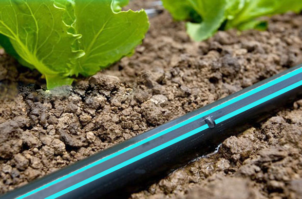 Banda pentru irigatii prin picurare D. 16 mm, 7 mil, 20 cm, 0.8 bar, 1.40 LPH  UNITAPE Blue Line