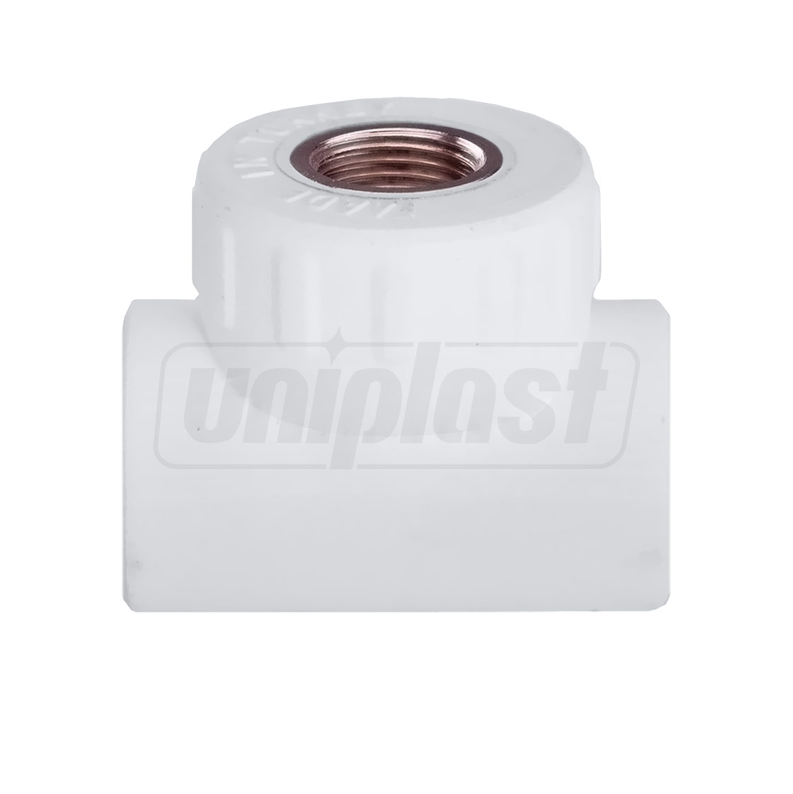 Teu PPR D. 25 x 1/2" FI x 25  KAS
