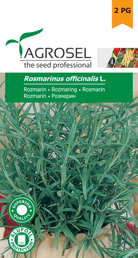 Seminte de Rozmarin 0.1 g (1209 99 990)  AS