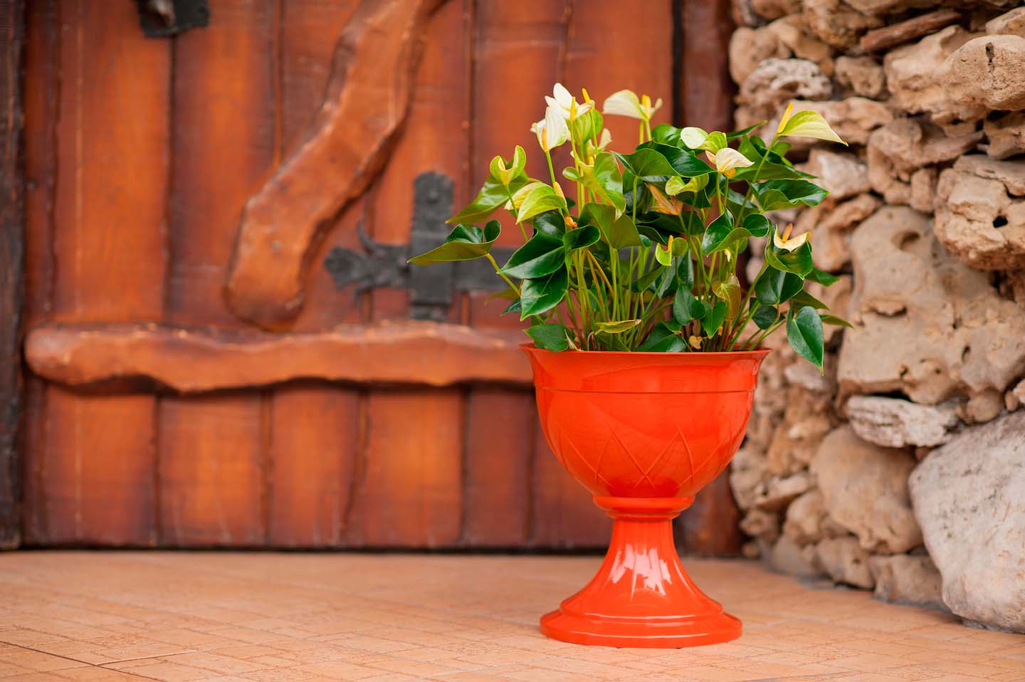 Ghiveci LILIA  6 L pe picior (teracota)