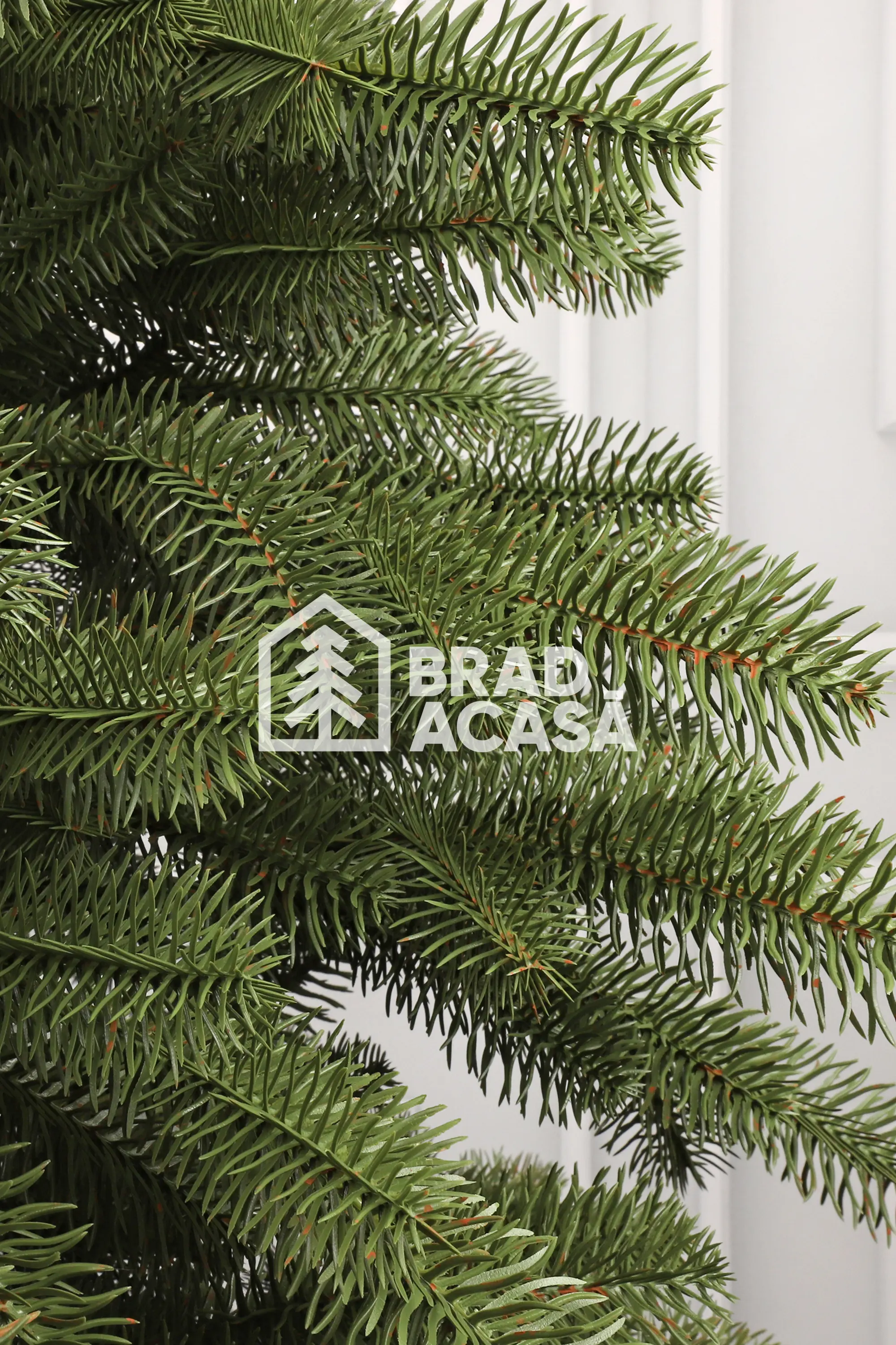 Brad artificial Bucovina